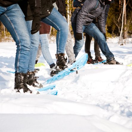 snow-shoes